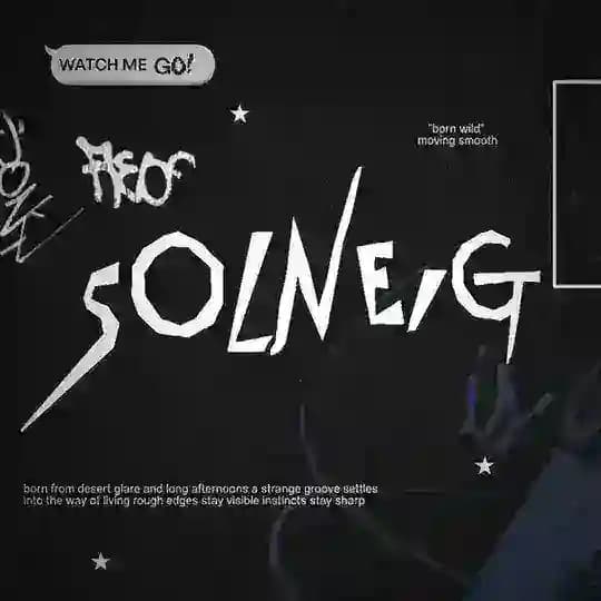 SOLNEiG.