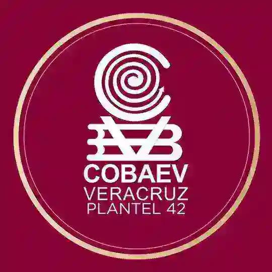 COBAEV 42 Canal oficial🐯🐯🐯 Profile