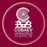 COBAEV 42 Canal oficial🐯🐯🐯