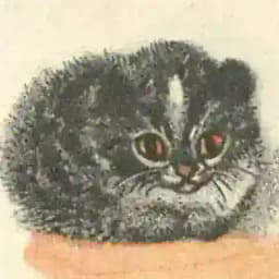 соль земли Profile