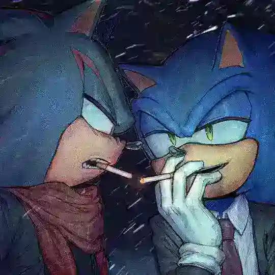 sonadow daily