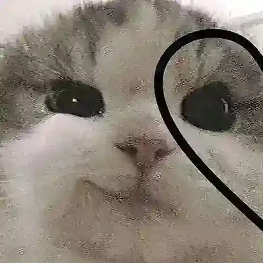 πΊππππ§ΰΎΰ½²βͺβ.