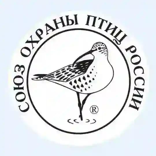 Санкт-Петербургское отделение СОПРа