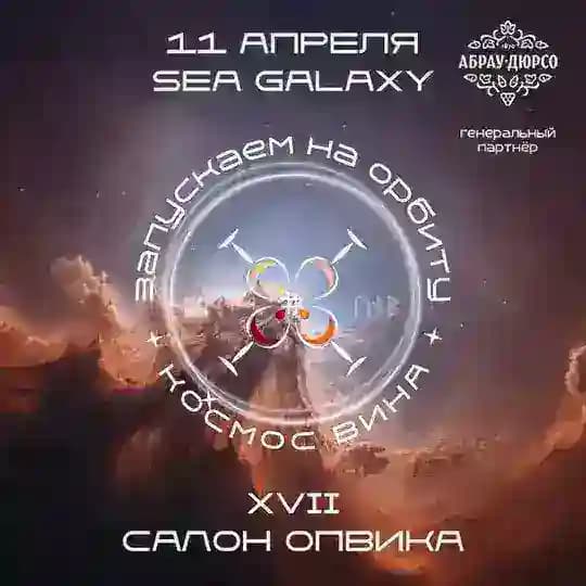 🍷 17-й Салон ОПВиКА 26.1
