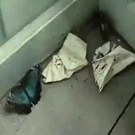 извини