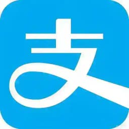 支付宝洗小额口令代付 Profile
