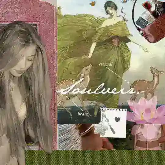 ㅤ 𝓢oulveir. ெ˚