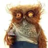 А я думала сова 🦉🤪 (memеs)