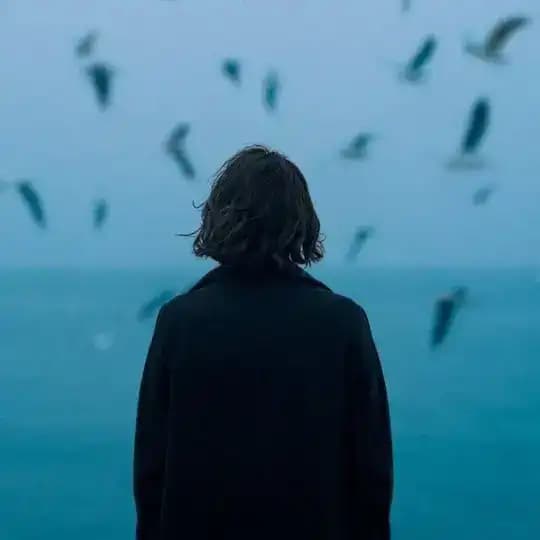 صُوَر خیال Profile