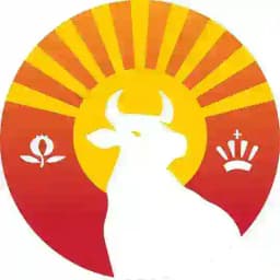 اسپانیا چه خبر !؟ Profile