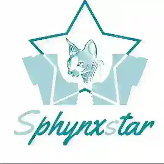 Sphynxstarmaroc احذية بالجملة ونصف الجملة🧔🧕👩🦰🤵 مباشرة من المعمل