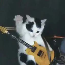 spirit :) Profile