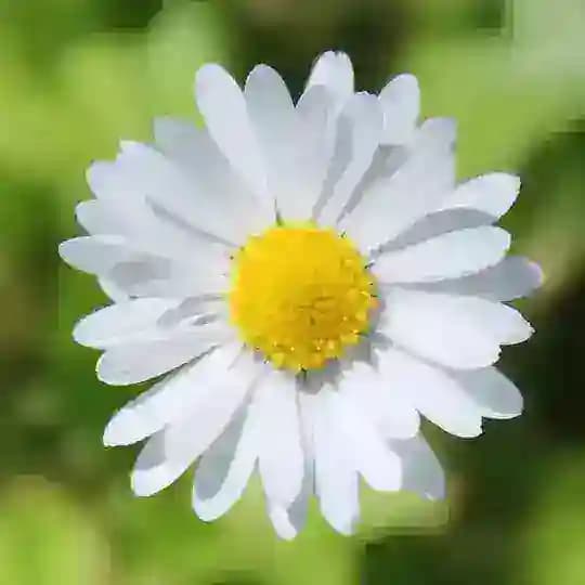 Spiritualwiki AHA-Zitate Profile