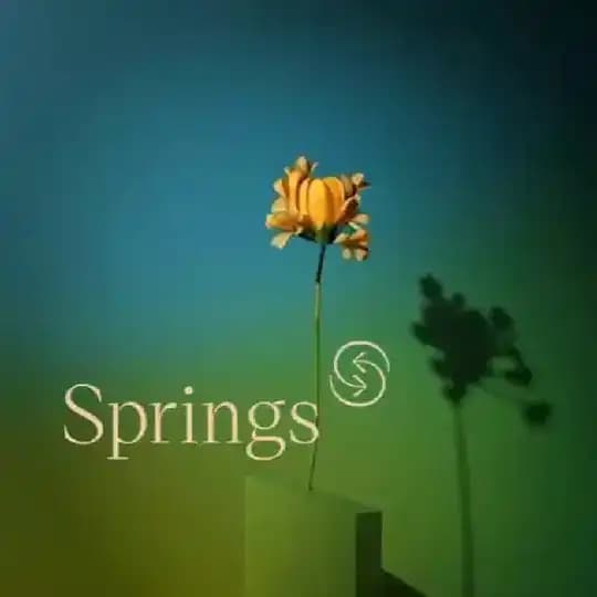 Springs.house
