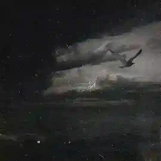 SAYREX