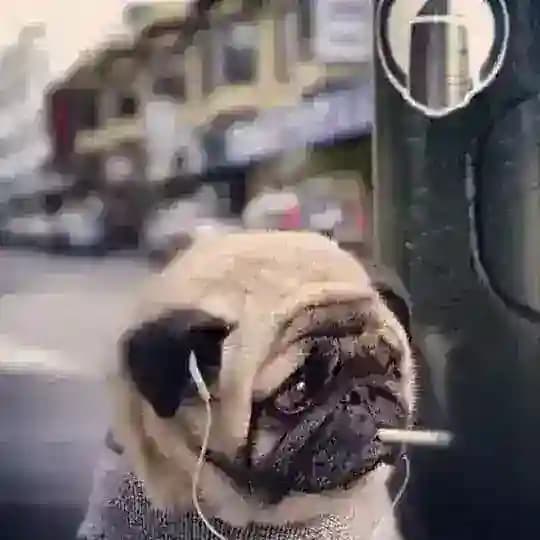 саша корякова