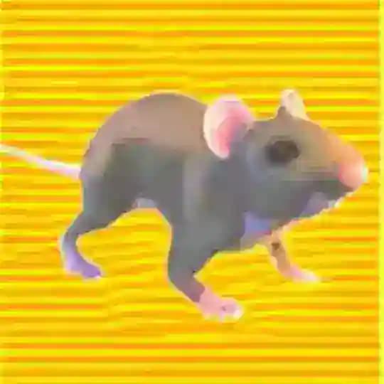 鼠鼠主频道』🎉