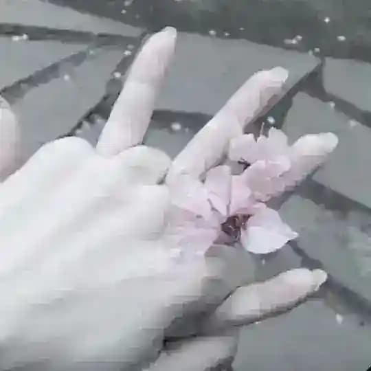 𝑠𝑠𝑒𝑎.𝑐𝑜𝑚