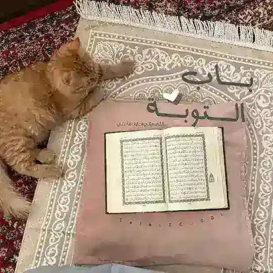 بَاب التوبُـة