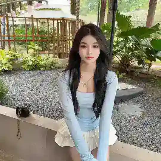 验车报告🌸