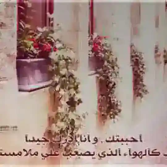 ❤||منوعآت..❤️..رآقيةة||❤⚘