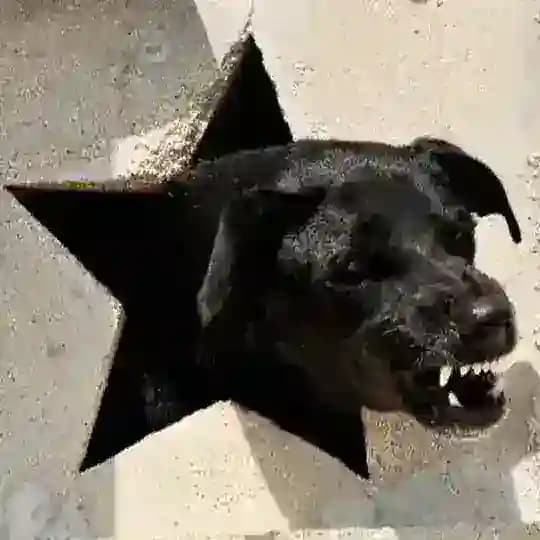 в моей голове все живы