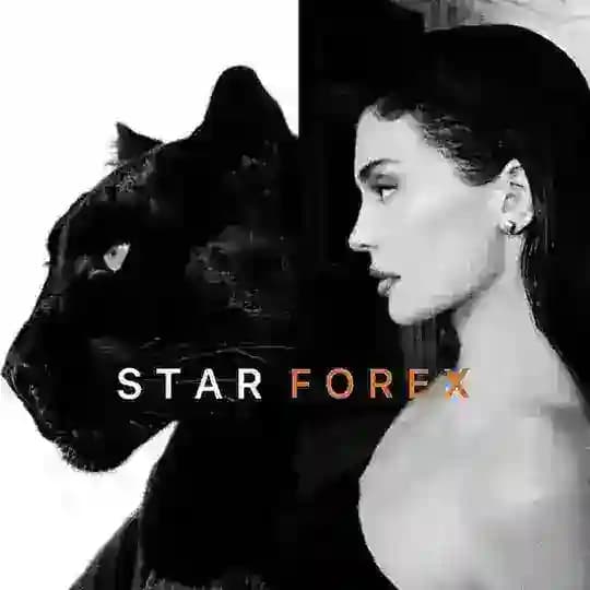 𝐒𝐓𝐀𝐑 | 𝐅𝐎𝐑𝐄𝐗 Profile