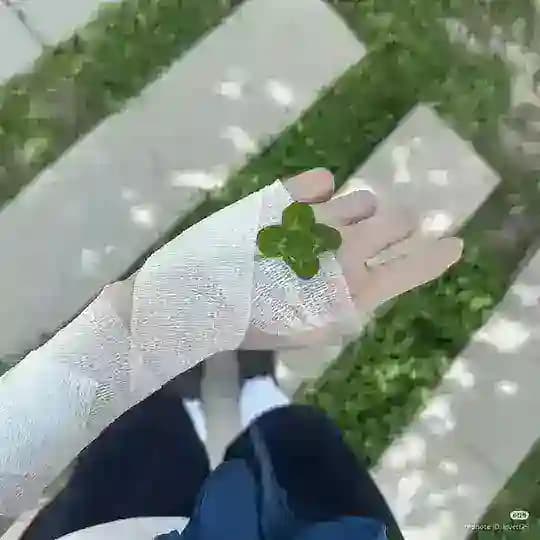 @statusdie