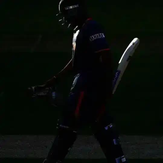 Stmpup Cricket