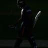 Stmpup Cricket
