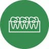 Ортодонтия | Orthodontia | Стоматология