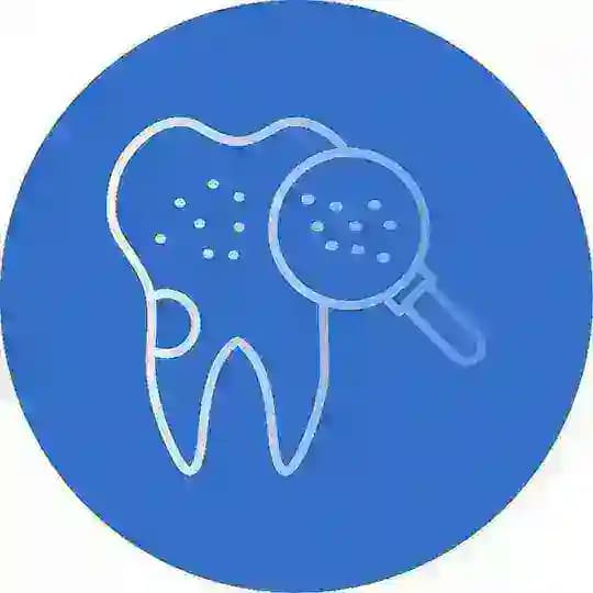 Терапевтическая и Эстетическая стоматология | Endodontia and Apical Surgery
