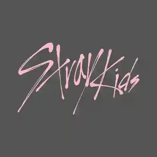 STRAY KIDS MUSIC Profile