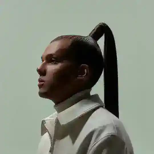 Stromae - multitude