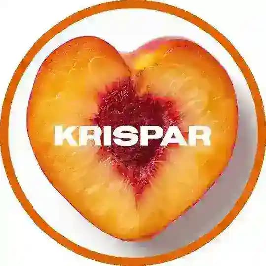 STUDIO KRISPAR