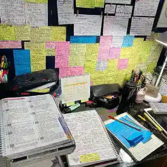 meh study !