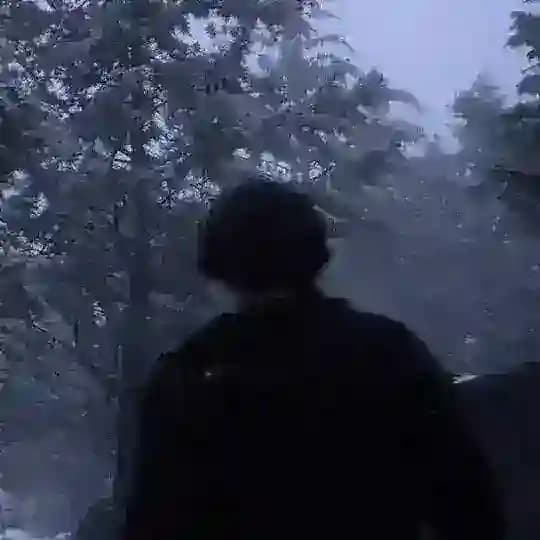 StvrRise