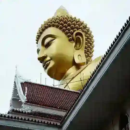 【泰国素材】|日常生活|素材||套图|