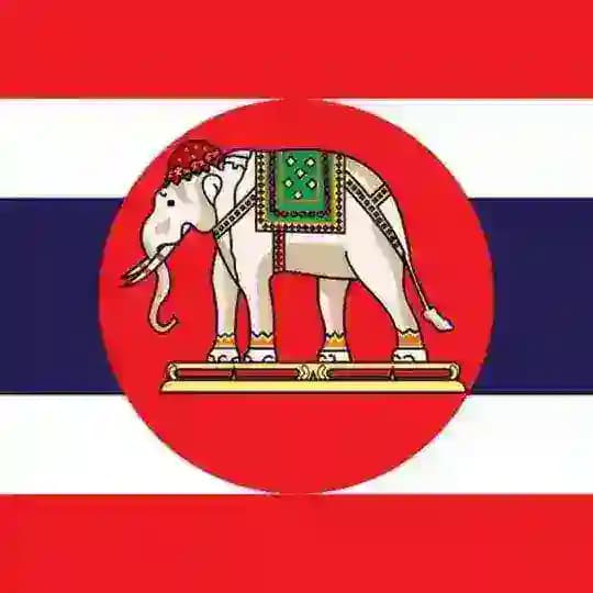 🇹🇭泰国素材【@dingzhi926小萌】