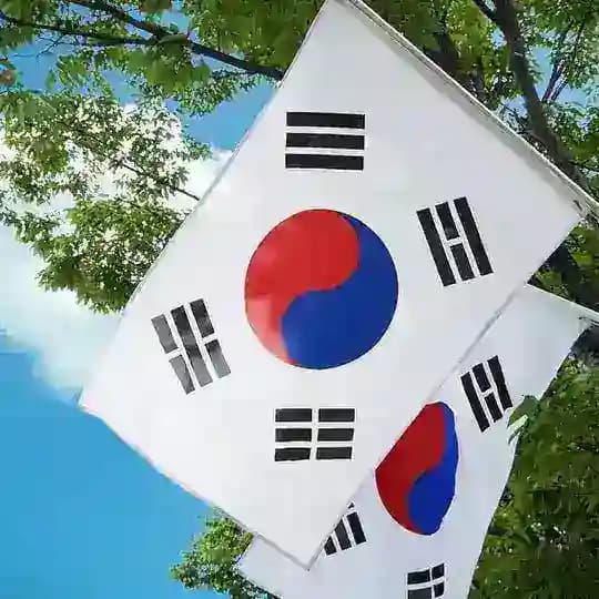 🇰🇷韩国素材