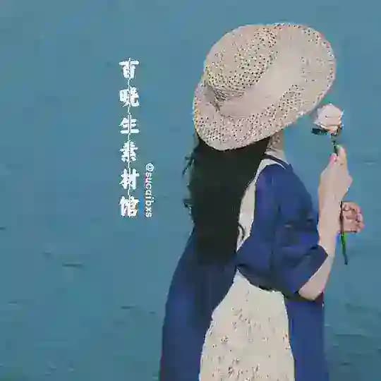 🍃【百晓生】素材馆