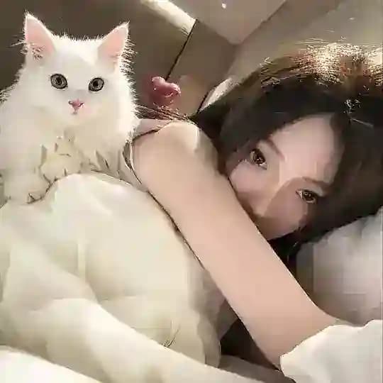 彩绘人设素材包装套图证件PS绘画
