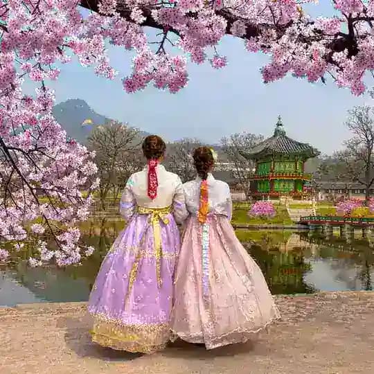 韩国素材 sucai