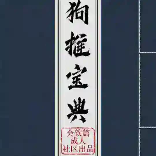 海外素材库📢
