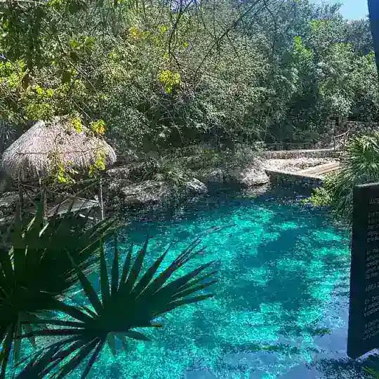 （海外素材库）