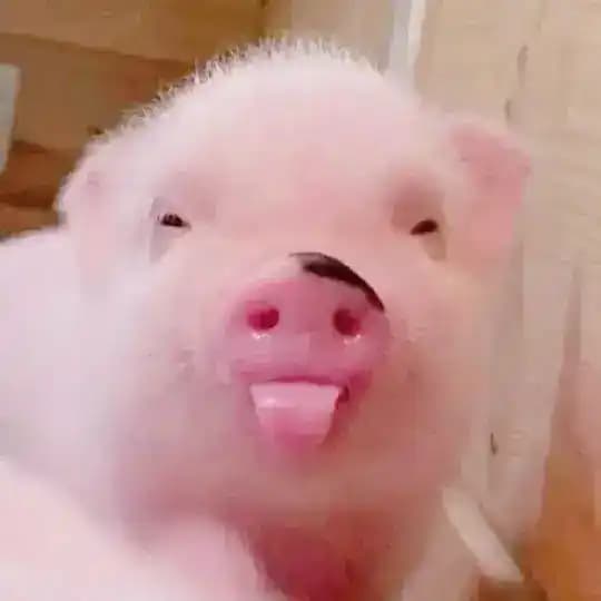 женьшеня ..。*♡