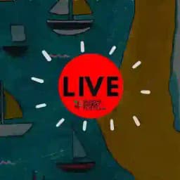 Sumud Supporters Roma ⛵️ Profile