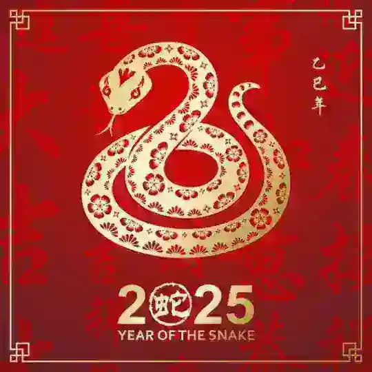 足球，协议球，蛇货，比赛内幕