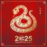 足球，协议球，蛇货，比赛内幕