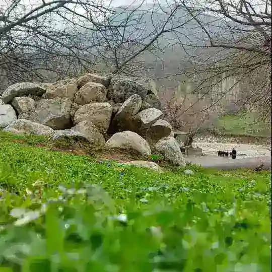 Shunchaki...